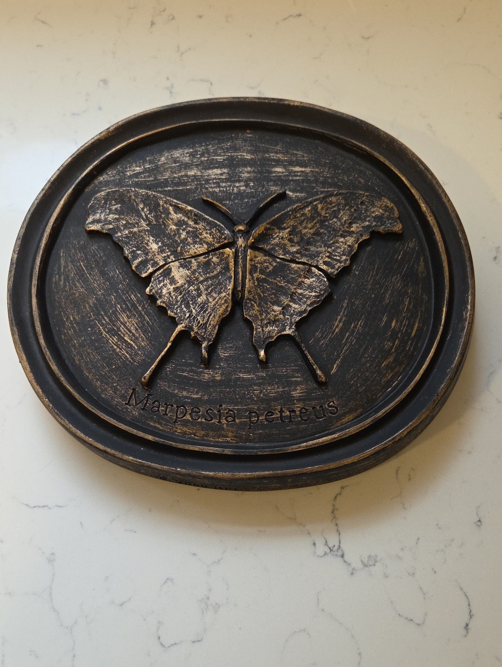 Bronze Butterfly Wall Plaque - Marpesia petreus